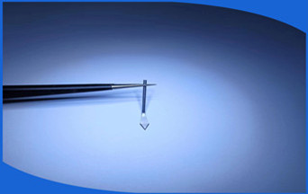 1716777433202665.jpg mtw-81270736_副本.jpg