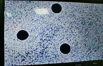 1744885129485173.jpg WechatIMG2_副本.jpg